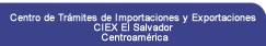 Centro de Trmites de Importaciones y Exportaciones